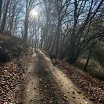 Naturerlebnis Direkt Am Traumpfad *