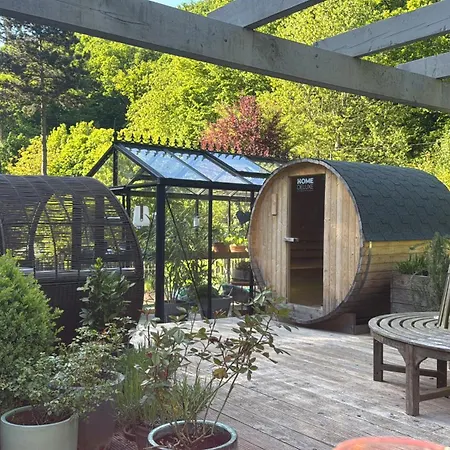 Naturerlebnis Direkt Am Traumpfad Andernach