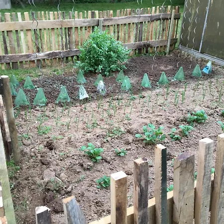 Naturerlebnis Direkt Am Traumpfad