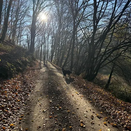 Naturerlebnis Direkt Am Traumpfad *