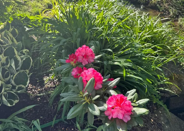 Naturerlebnis Direkt Am Traumpfad * Andernach