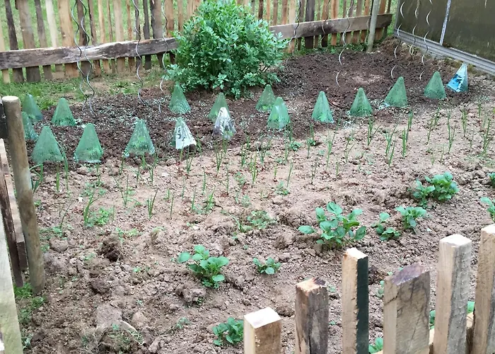 Naturerlebnis Direkt Am Traumpfad