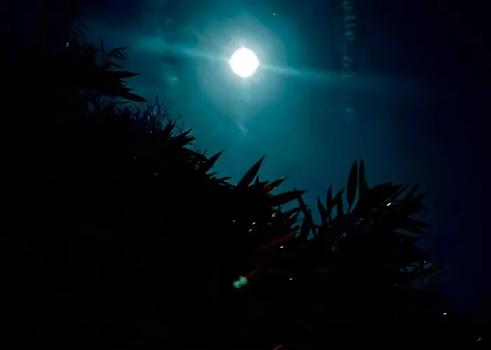 Apartman Naturerlebnis Direkt Am Traumpfad