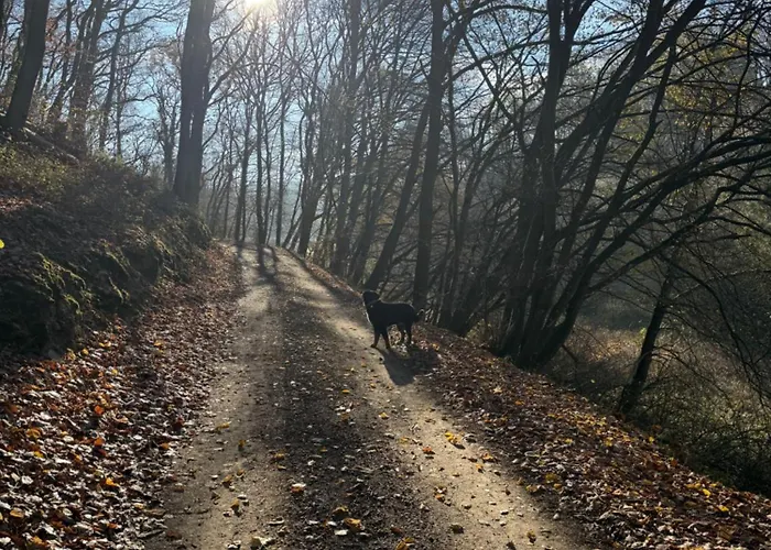 Naturerlebnis Direkt Am Traumpfad *